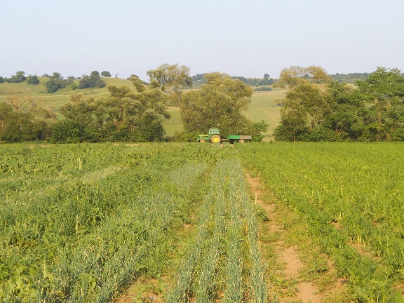 Adrian Pintea, director general APIA: ”plățile pentru Măsura 21 vor fi făcute până la sfârșitul lunii decembrie”