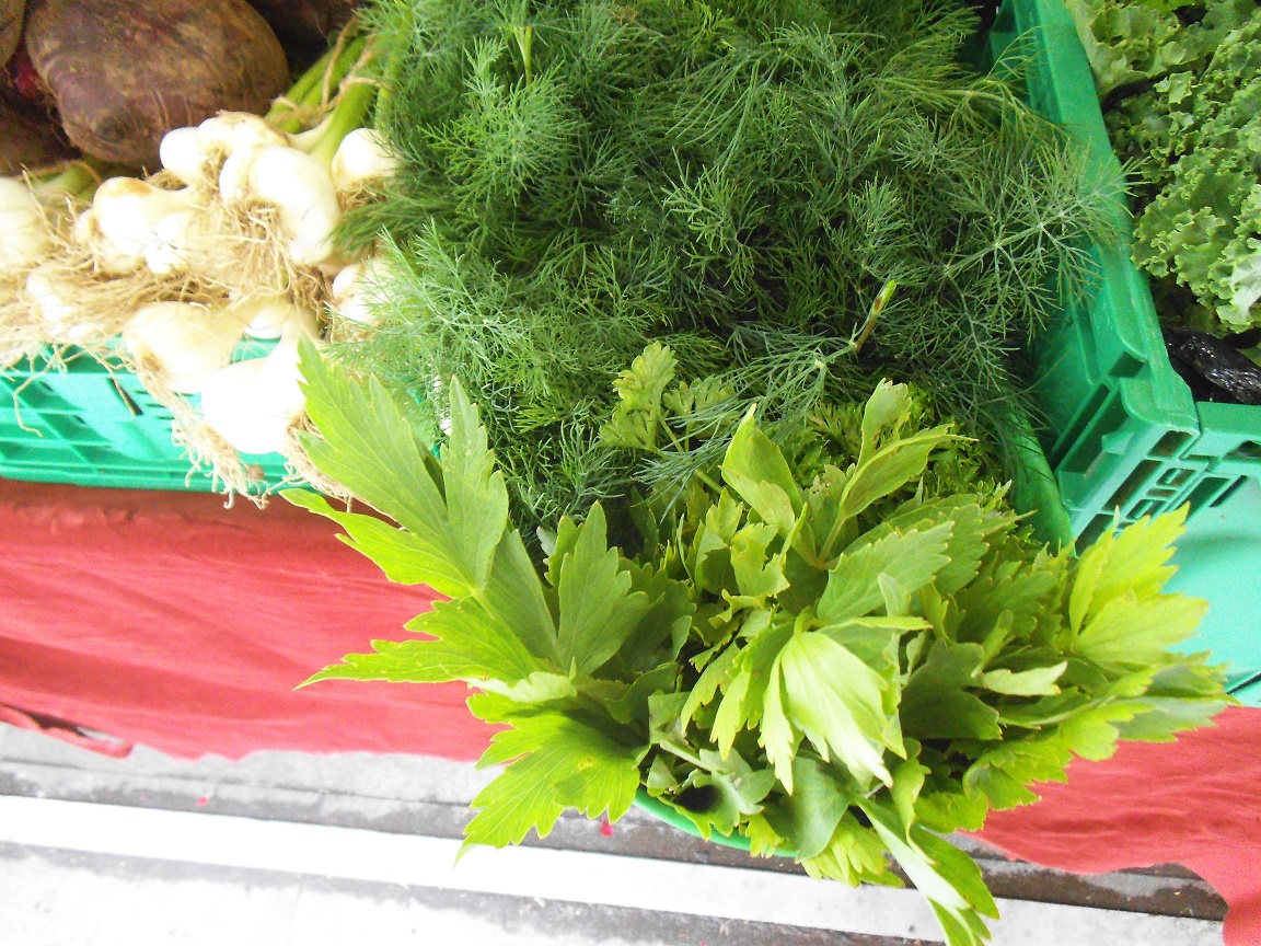 O cale de succes în legumicultură: familia Tanache lucrează un hectar de teren și vinde recolta într-o piață din București