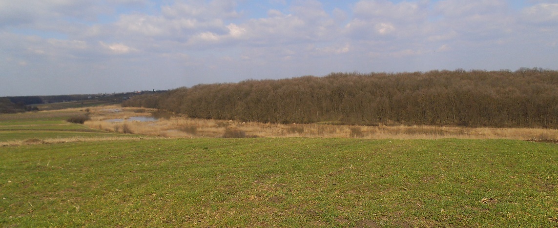 Fosta șefă a Oficiului Județean Pentru Finanțarea Investițiilor Rurale (OJFIR) Hunedoara, condamnată penal de Curtea de Apel Alba Iulia pentru că a încasat ilegal subvenții agricole în valoare de 647.152 lei