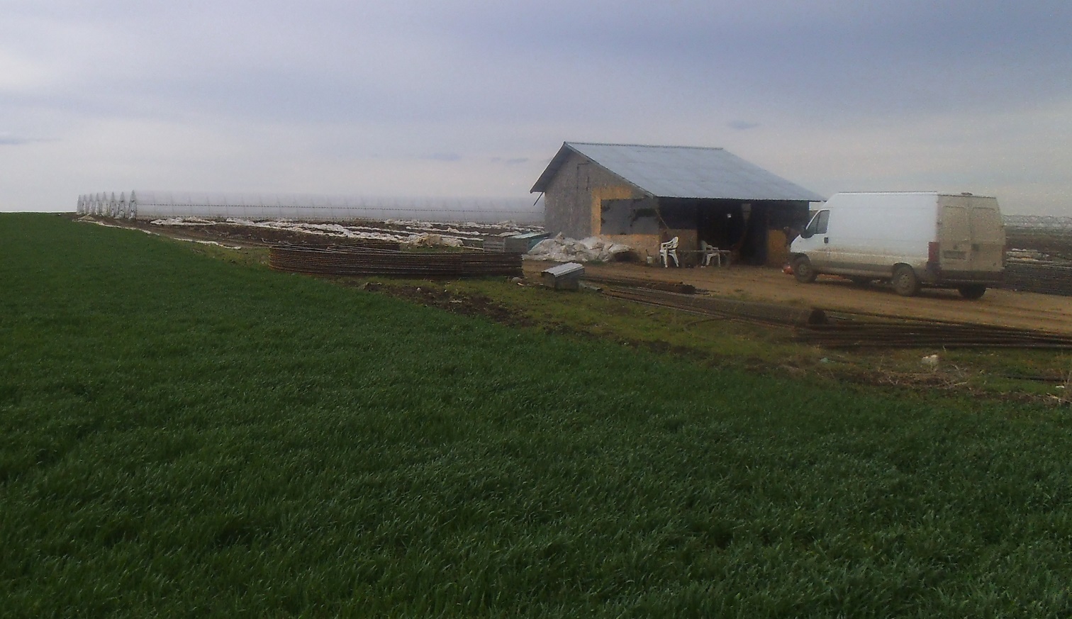 Cum va arăta anul 2020 pentru agricultura României?