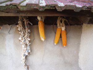 Comisia Europeană către autoritățile de la București: ”ajutați fermele mici cu potențial mare de dezvoltare”