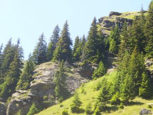 Sprijinul PSD pentru zona montană: legi peste legi, dar, deocamdată, niciun proiect nu a primit finanțare