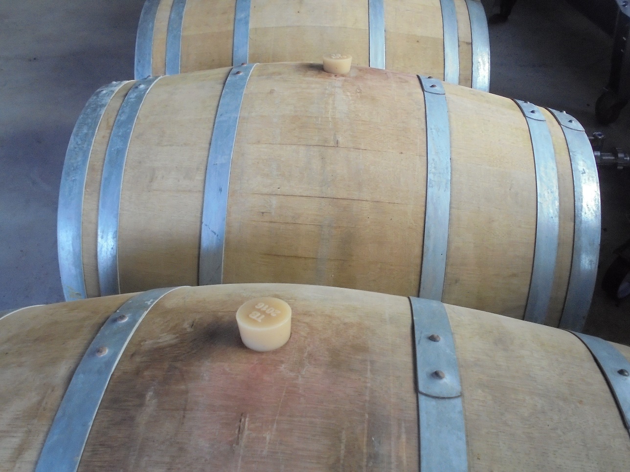 Uniunea Europeană, inclusiv România, piețe de desfacere pentru vinurile, cerealele și zahărul din Republica Moldova; ce vindem peste Prut