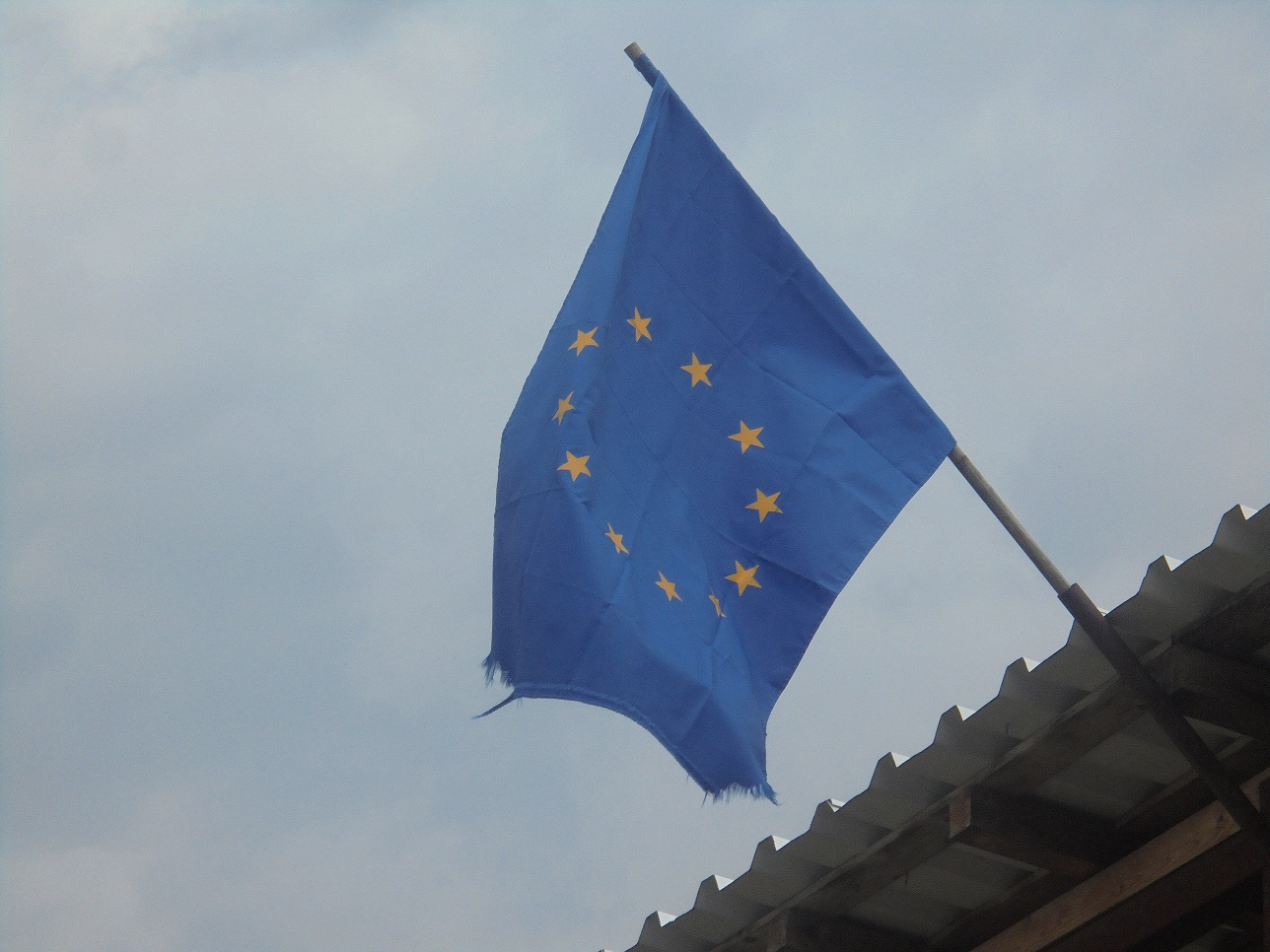 Agricultura bio: din cauza pandemiei Covid -19, Comisia Europeană a prelungit până la 1 februarie 2021 perioada de efectuare a inspecției anuale de către organismele de control