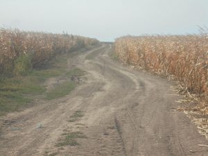 Când vom avea un Observator European al tranzacțiilor cu terenuri agricole?