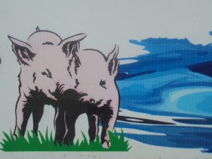 Piața mondială a cărnii de porc, greu încercată de Pesta Porcină Africană și de pandemia Covid - 19; în România, prețul porcilor în viu a scăzut la 708.85 lei/100 kg