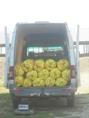 Vor mai cumpăra comercianții ieftin de la fermieri ca să vândă scump consumatorului final? Deputații europeni au votat înființarea unui Observator al piețelor agricole, care va urmări prețurile de-a lungul întregului lanț de aprovizionare