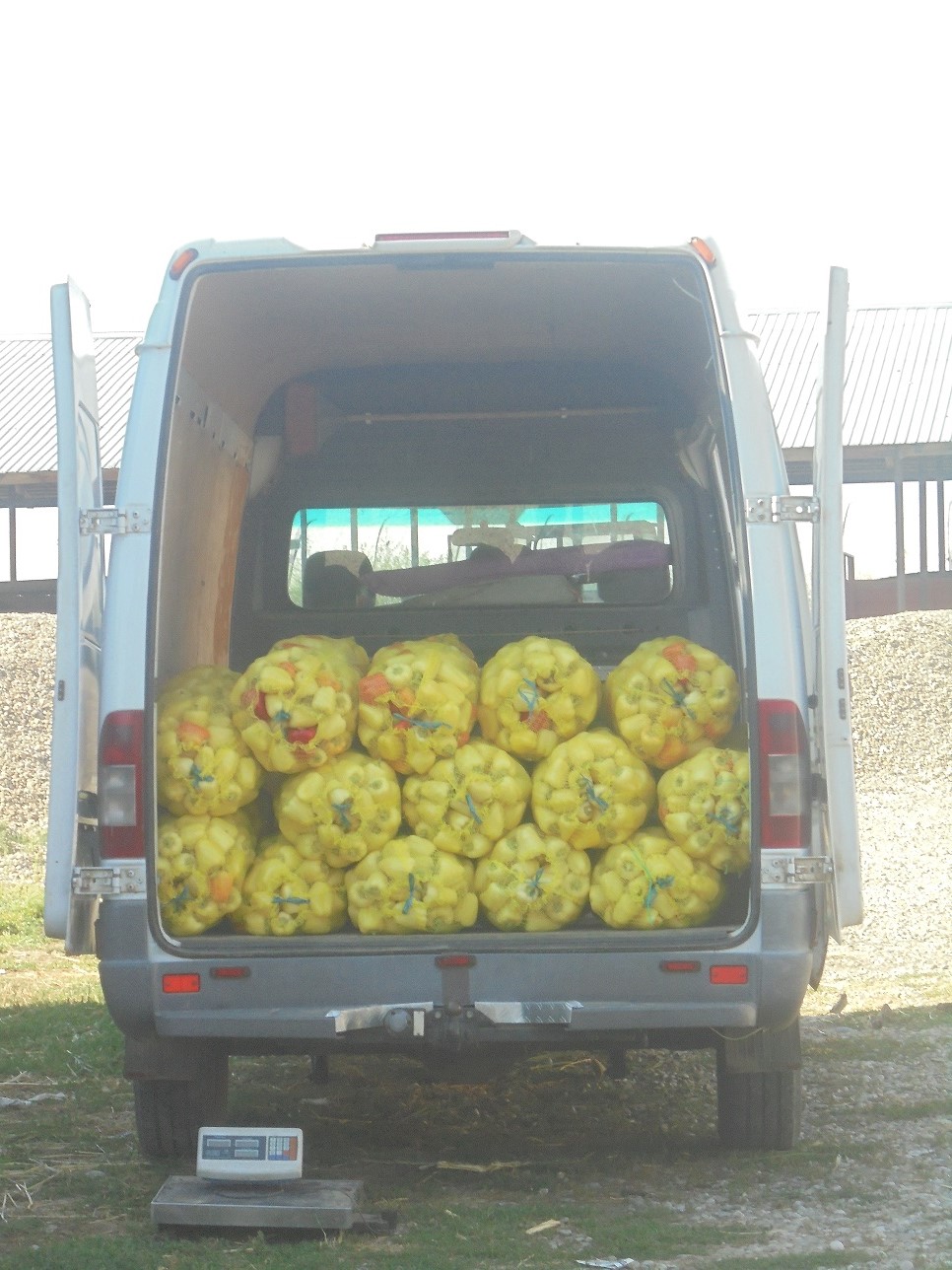 Vor mai cumpăra comercianții ieftin de la fermieri ca să vândă scump consumatorului final? Deputații europeni au votat înființarea unui Observator al piețelor agricole, care va urmări prețurile de-a lungul întregului lanț de aprovizionare