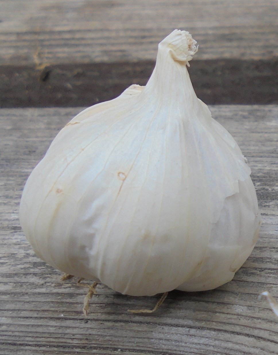 Cum a umflat Ministerul Agriculturii costurile fermierilor pentru cultivarea unui hectar de usturoi, ca să salte ajutorul de stat la 3000 de euro/ha, în plină campanie electorală