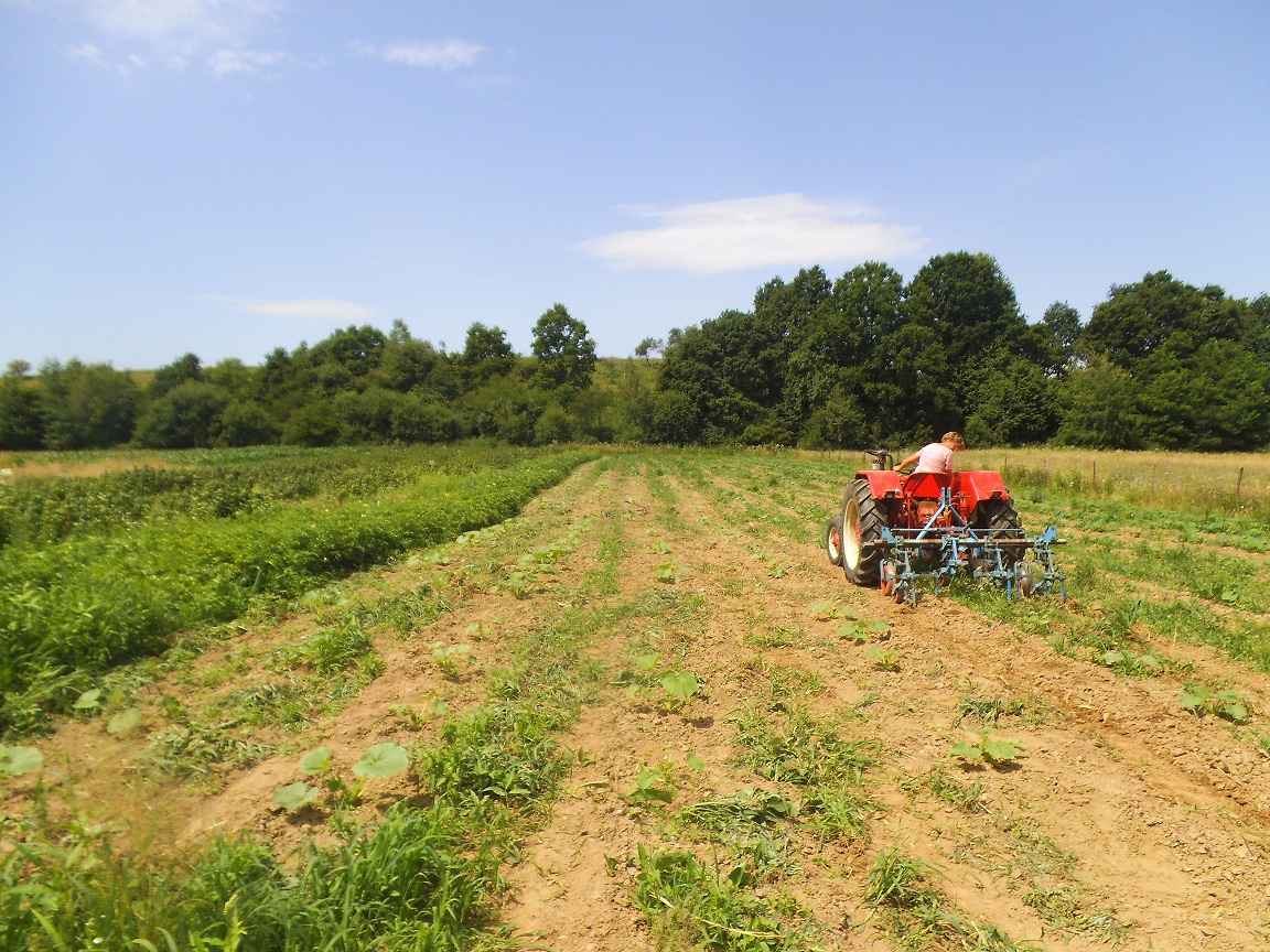 AgriFish, subventii agricole, plati directe