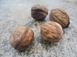 Nucile și semințele, pe primul loc în topul mărfurilor agro-alimentare raportate în Sistemul Rapid de Alertă pentru Alimente și Furaje ( RASFF )