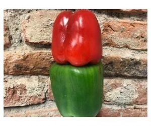 Profesorul clujean Avram Fițiu lovește din nou: el se declară șocat că fanii celui mai mare magazin cu produse bio din Cluj-Napoca sunt în procent de peste 99% oameni nu neapărat bogați, ci bolnavi, dar 1 kg de ardei costă 60 de lei