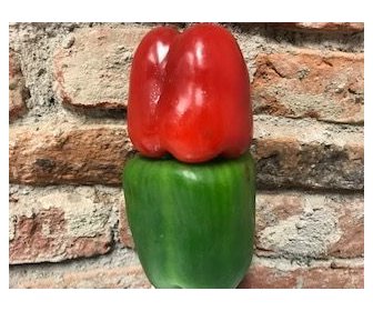 Profesorul clujean Avram Fițiu lovește din nou: el se declară șocat că fanii celui mai mare magazin cu produse bio din Cluj-Napoca sunt în procent de peste 99% oameni nu neapărat bogați, ci bolnavi, dar 1 kg de ardei costă 60 de lei