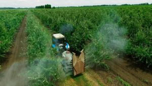 RAPORT REZIDUURI PESTICIDE, sector fructe 2022: strugurii de masă și pentru vin, caisele, piersicile, căpșunile și cireșele, cele mai multe probe contaminate