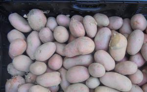 Măsura 21: cultivatorii de legume în câmp, sere și solarii, pomicultorii și cultivatorii de cartofi pot depune până la 23 octombrie actele necesare pentru încasarea sprijinului financiar; care sunt documentele necesare și condițiile specifice