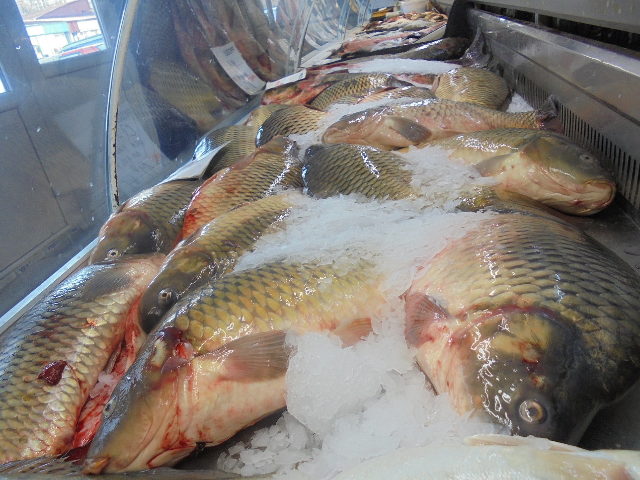 Premierul britanic, Boris Johnson, își asigură cetățenii că de acum încolo vor putea mânca pește pe săturate; declarația sa amintește de lozinca din ceaușism ”Nicio masă fără pește”