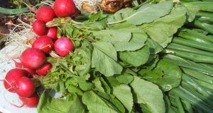 Primul legumicultor care a dat anunț pe siteul Ministerului Agriculturii! Valentin Bratu din Balta Doamnei, județul Prahova, a fost lăsat baltă de comerciantul care livra în hypermarketuri!