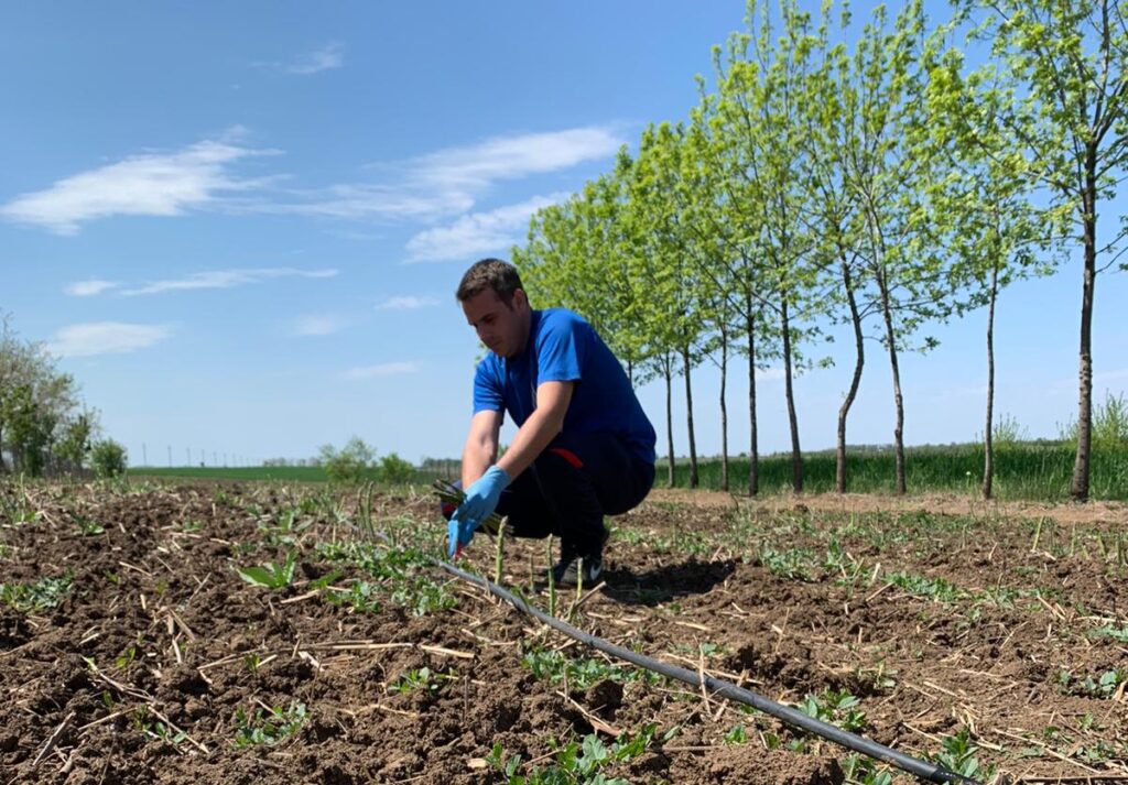 micile ferme de familie ar putea da faliment