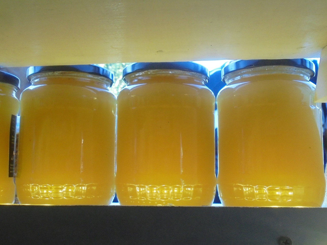 Miere cu scandal în Spania! Filieră românească, miere chinezească? Lanțulalimentar.ro a semnalat, în premieră, creșterea fără precedent a importurilor de miere efectuate de România din țări-terțe