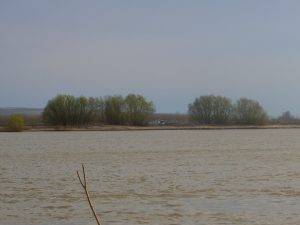 anul nou pe stil vechi