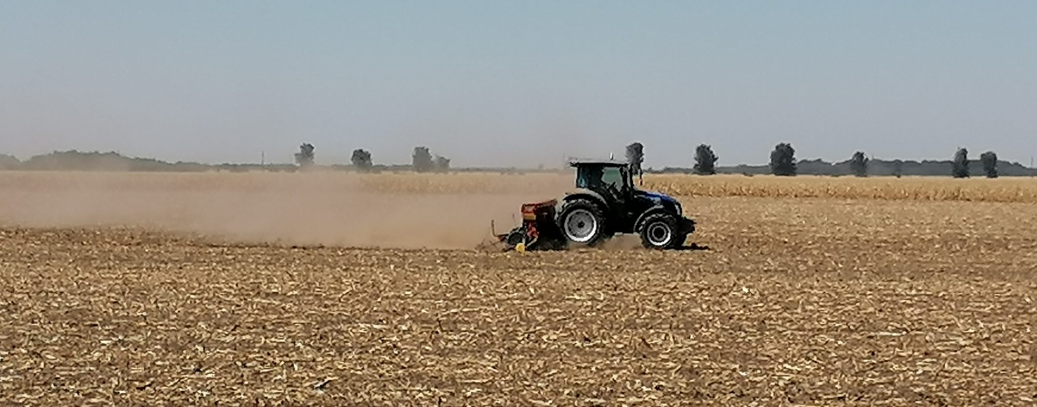 fermieri, datorii, executari silite, banci