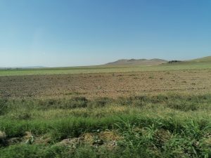 Petre Daea, pentru a treia oară ministru al Agriculturii; decretul de numire, semnat astăzi, 8 iulie, de președinte