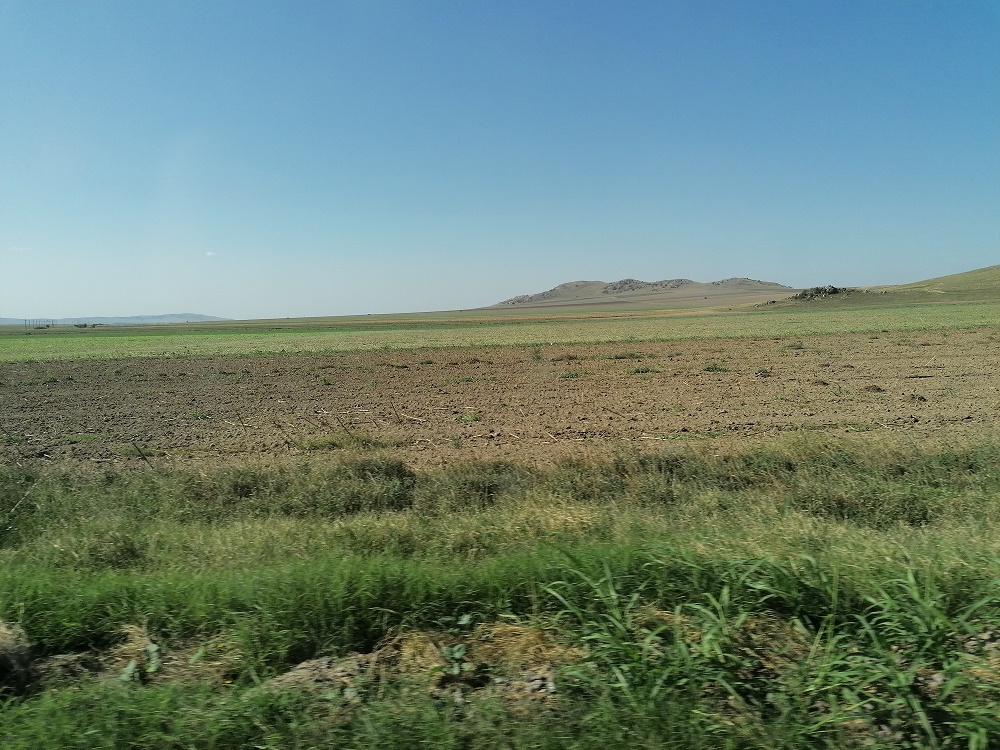 Petre Daea, pentru a treia oară ministru al Agriculturii; decretul de numire, semnat astăzi, 8 iulie, de președinte