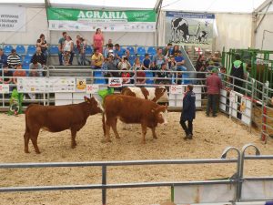 Organizatorii de expoziţii şi târguri profesionale, inclusiv cu profil agroalimentar, solicită sprijinul instituțiilor statului pentru reluarea activității, interzisă în primăvară din cauza pandemiei Covid-19