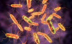 Mulți românii se tem mai mult de aditivii și conservanții alimentari, decât de bacteriile care provoacă toxinfecții alimentare