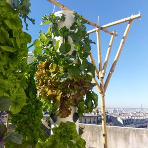 Locuitorii din marile orașe ale lumii s-au apucat de agricultură; Camera Națională Agricolă din Franța îi sprijină pe fermierii din Paris și alte orașe din țară