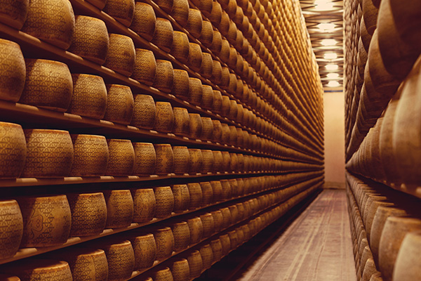 PIAȚA BRÂNZETURILOR: Germania vinde cea mai mare cantitate pe piața europeană și cumpără de la statele membre cea mai mare cantitate