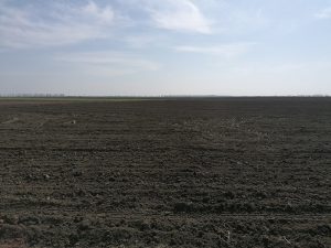 Sacrificat pentru interesele baronului de Olt Paul Stănescu? Șeful APIA, demis de ministrul Agriculturii