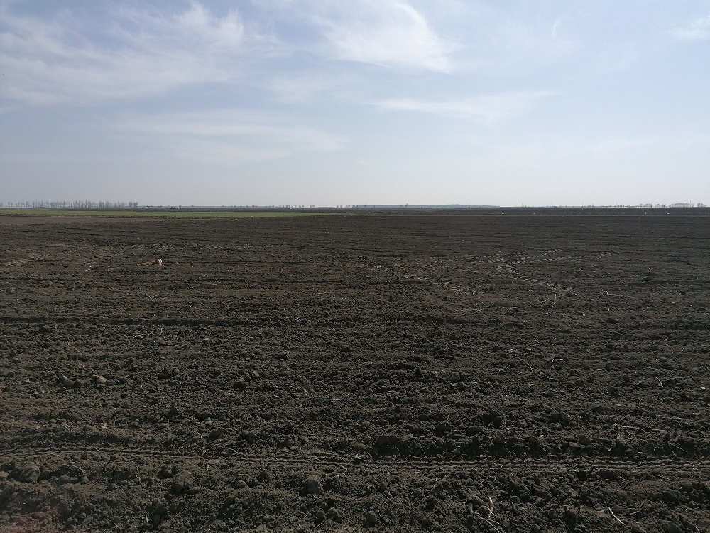 Sacrificat pentru interesele baronului de Olt Paul Stănescu? Șeful APIA, demis de ministrul Agriculturii