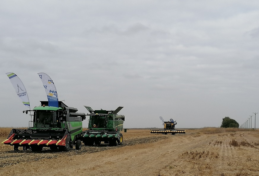 rusia, exporturi, cereale, ue