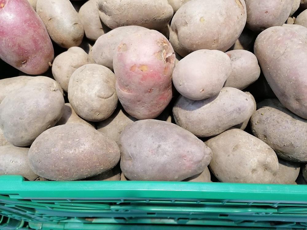 Revista Ferma: ”Coperativa Agricolă AGROCOP DALNIC construiește un depozit cu bani de la AFIR”