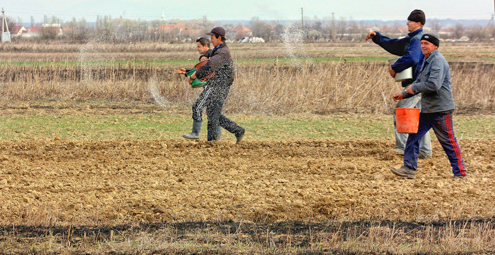 fermieri, Polonia, sinucideri