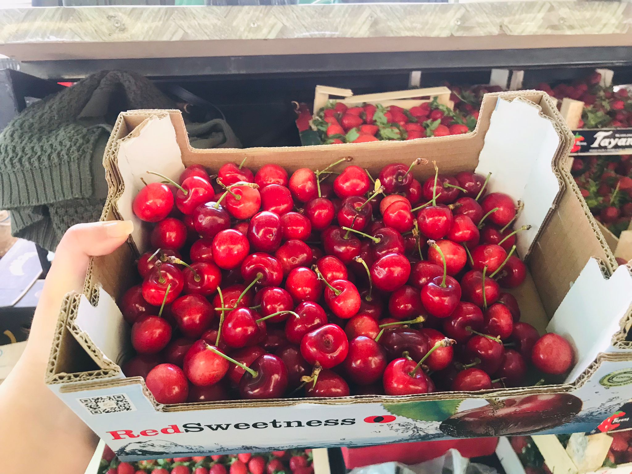 Cireșele din import vândute în România, de peste trei ori mai scumpe decât cele din Franța; cireșul în ghiveci, o opțiune pentru viitor?