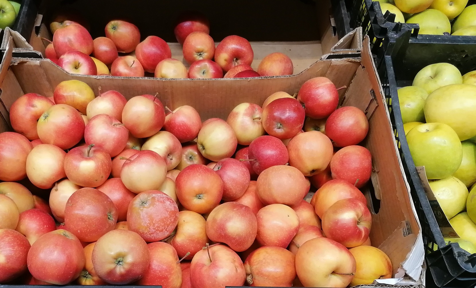 Imediat după Sărbători, pomicultorii români au acces la fondurile europene