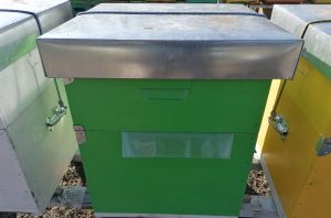 Formula AS: ”România este a doua putere apicolă din Uniunea Europeană”