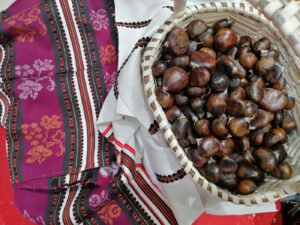 cuceririle romane au fost cauza raspandirii castanelor comestibile in Europa