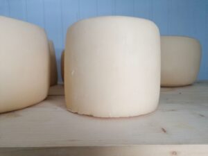 Roțile de cașcaval din Căian; soții Todea și-au dezvoltat ferma cu ajutorul fondurilor europene