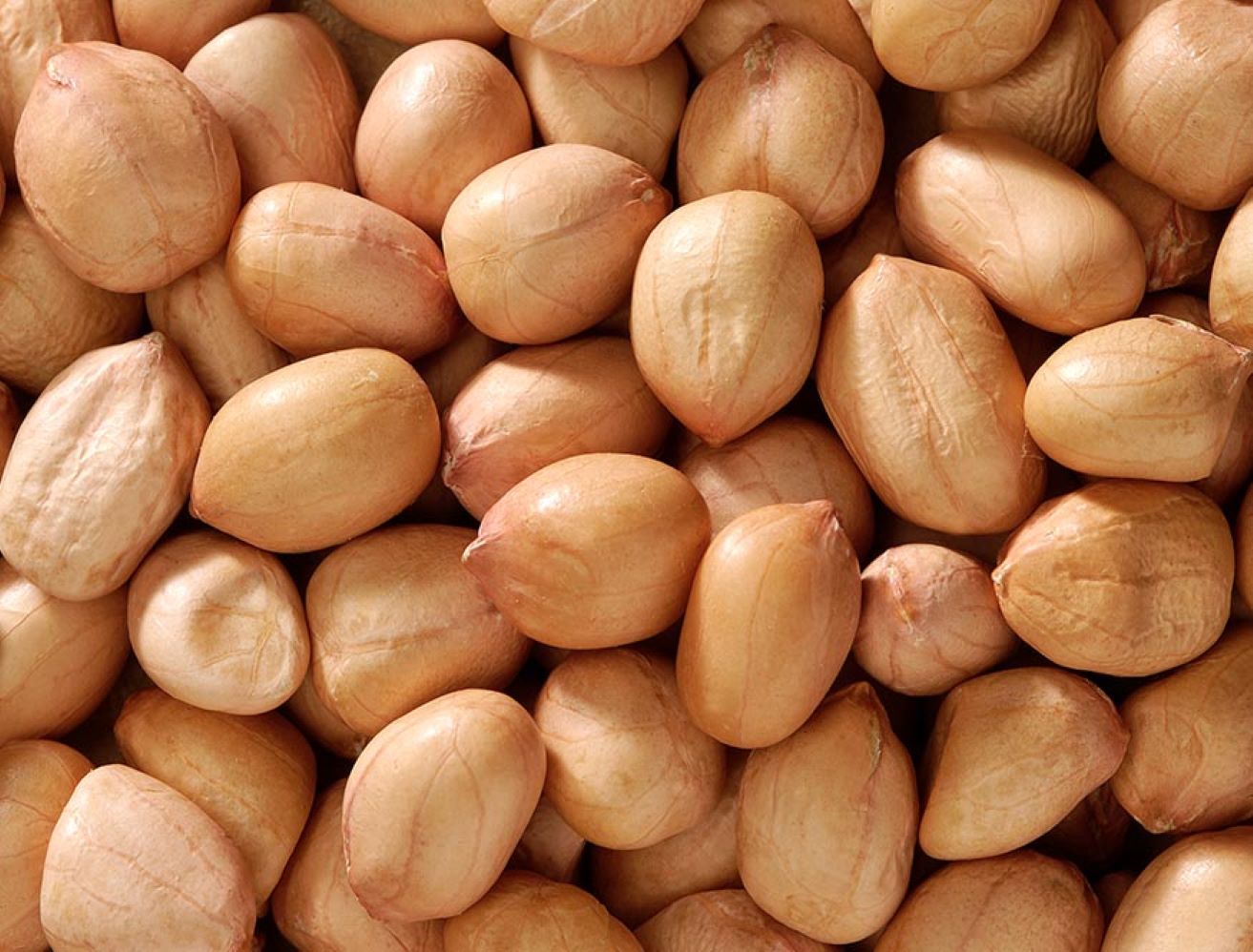 ARAHIDE din Paraguay, cu aflatoxină, și CĂPȘUNE și PORTOCALE din Egipt, cu reziduuri de pesticide peste nivelul maxim admis, cu destinația România