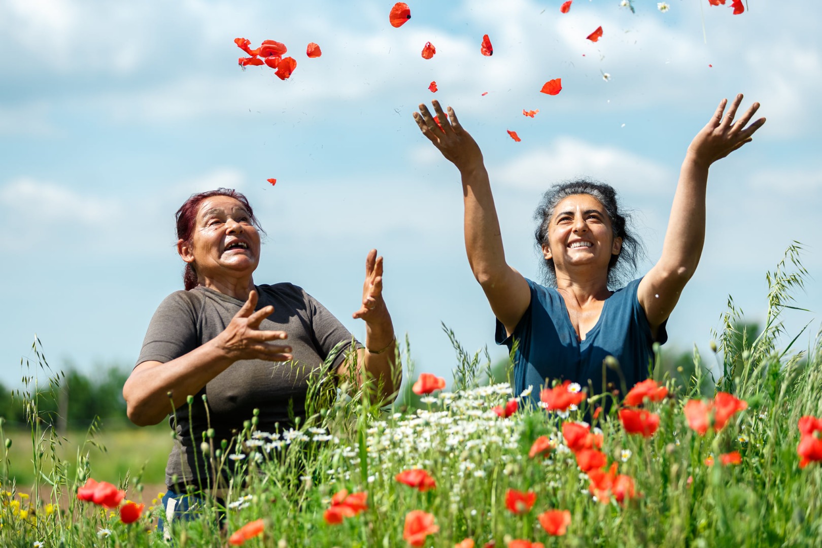 bio&co, ferme, legumebio