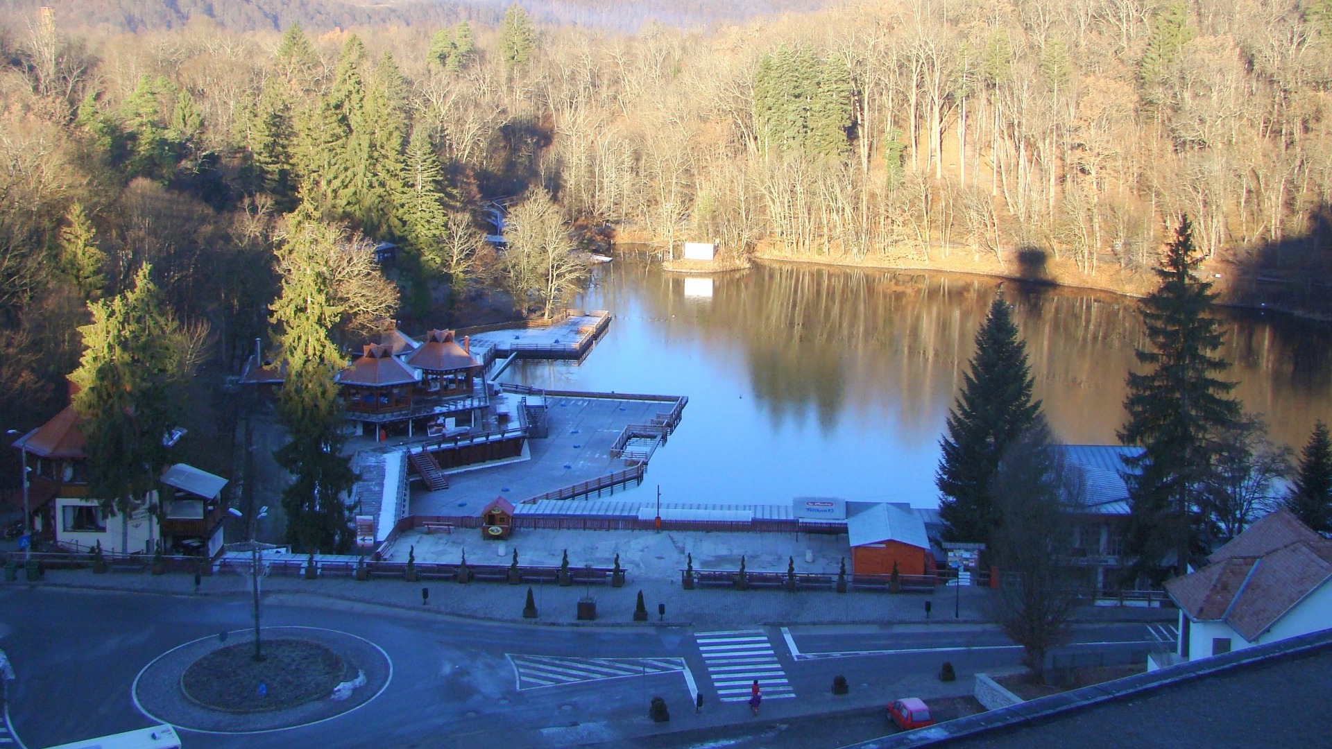 alge, lacul ursu, sovata, hrana