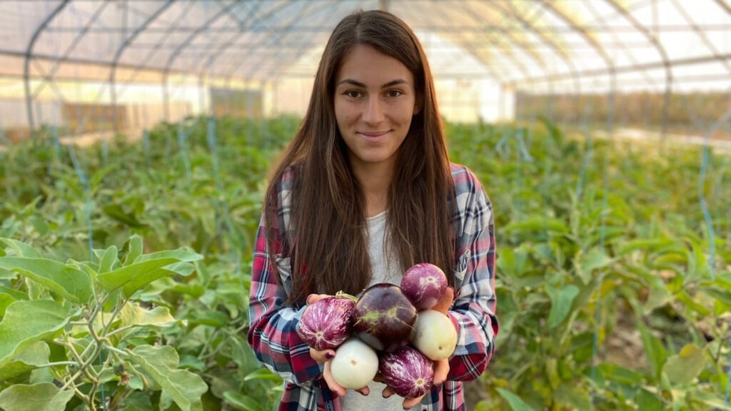 bio&co, ferme, legume bio