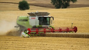 romania, exporturi, cereale, ins