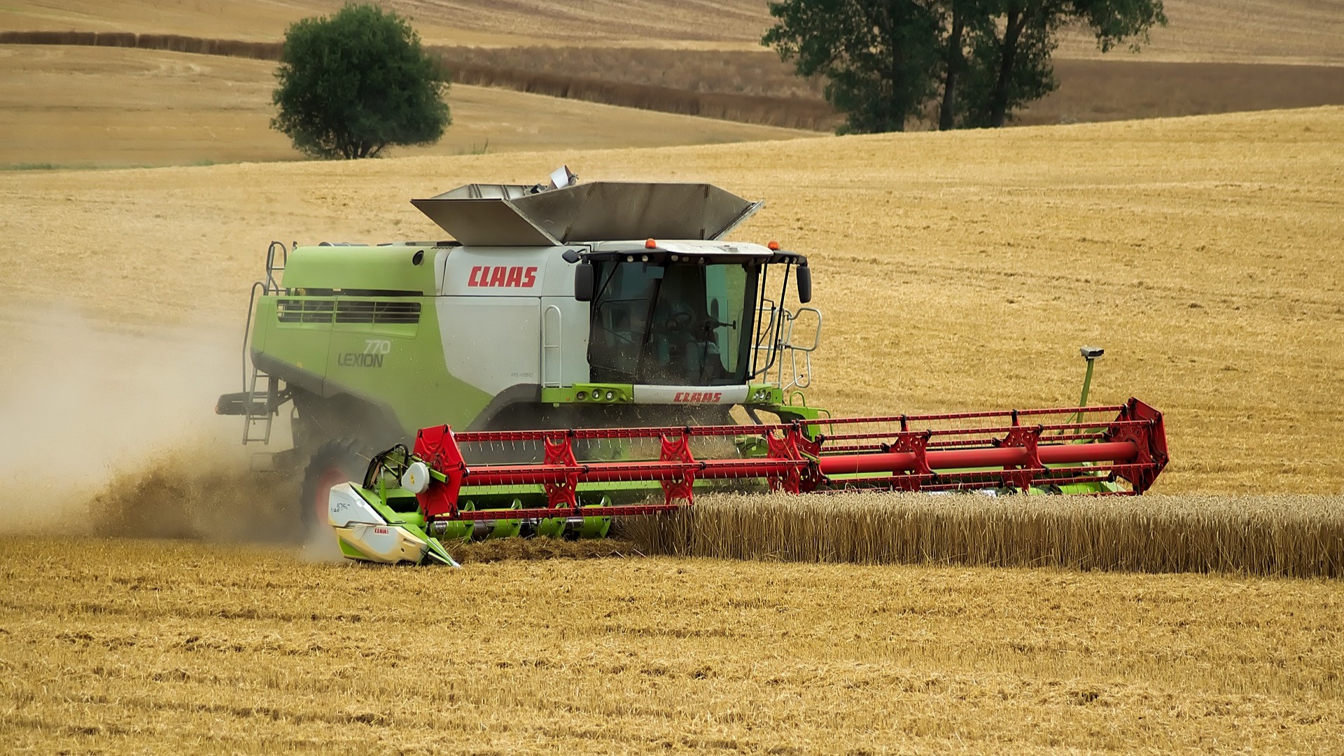 romania, exporturi, cereale, ins