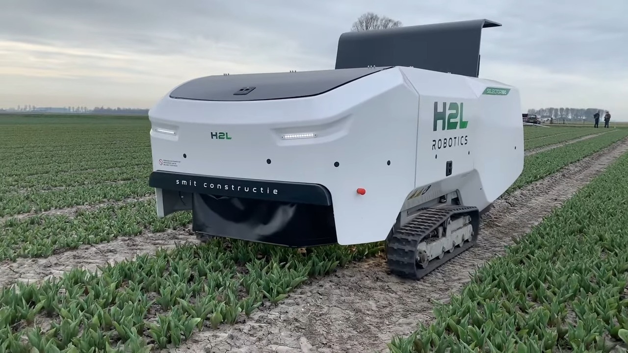 inteligenta artificiala, robot, lalele, olanda