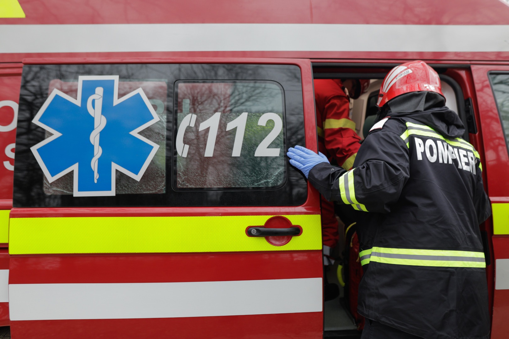 faina, romania, gheorghe muscalu, brutarii