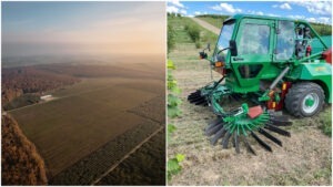 allu, alune de padure, bio, vehicul